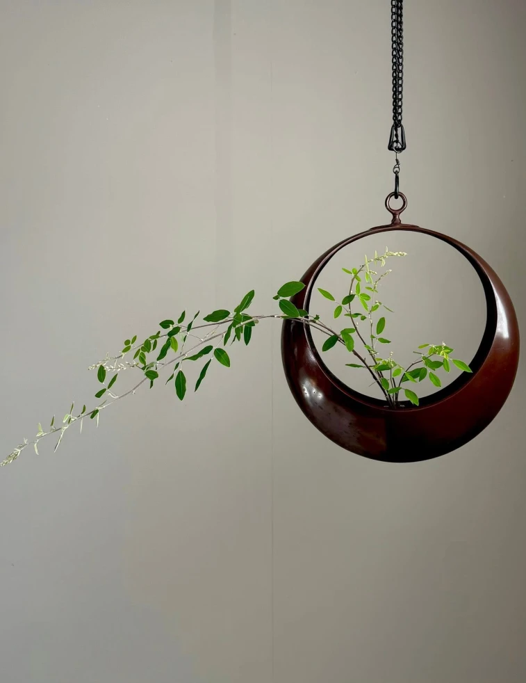 Shoka Shofutai Grace Lu