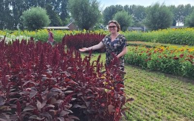 Verslag workshop Pluktuin in Strijen, 27 augustus 2026